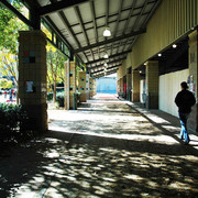 2009 U.S. National Arabian And Half-Arabian Purebred Halter Championships