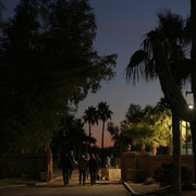 Argent Farms & Michael Byatt Arabians