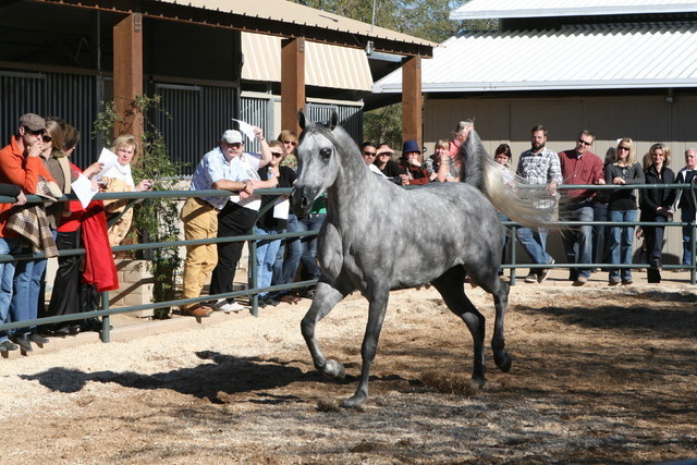 Scottsdale Farm Tours - Thursday