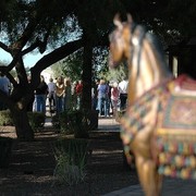 North Arabians International Training Center