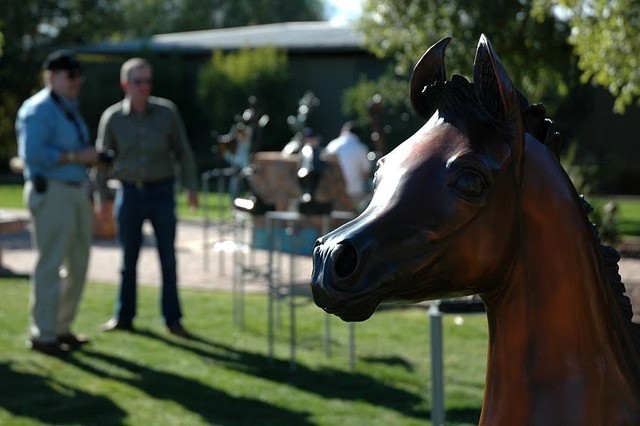 North Arabians International Training Center