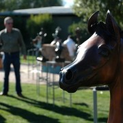 North Arabians International Training Center