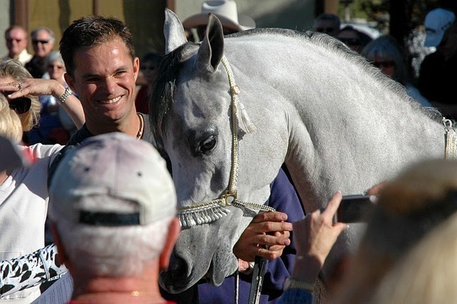 North Arabians International Training Center