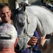 North Arabians International Training Center