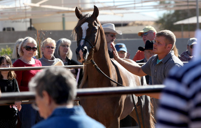 Scottsdale Farm Tours - Saturday