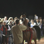 Midwest Training Centre