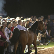 Midwest Training Centre
