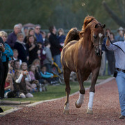 Midwest Training Centre
