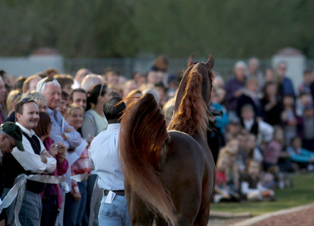 Midwest Training Centre