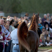 Midwest Training Centre