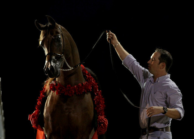 Midwest Training Centre