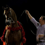 Midwest Training Centre