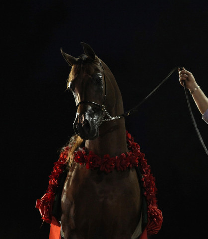 Midwest Training Centre