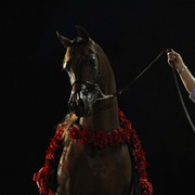 Midwest Training Centre