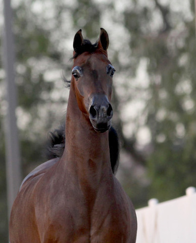 Midwest Training Centre