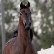 Midwest Training Centre