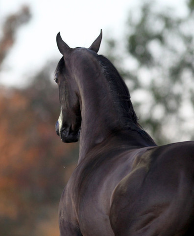 Midwest Training Centre