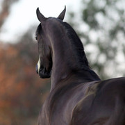 Midwest Training Centre