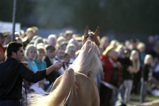 Midwest Training Centre