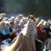 Midwest Training Centre