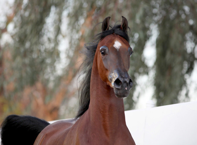 Midwest Training Centre