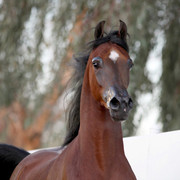 Midwest Training Centre