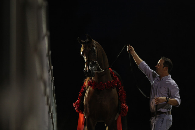 Midwest Training Centre