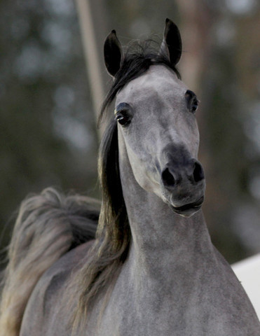 Midwest Training Centre