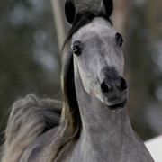 Midwest Training Centre