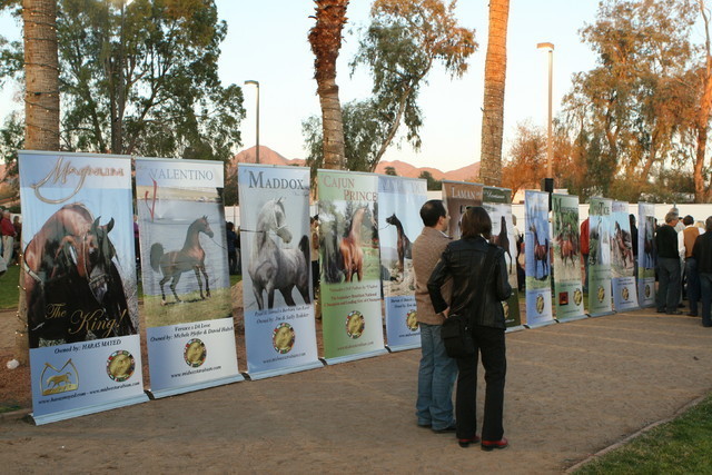 Midwest Training Centre