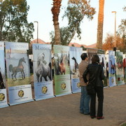 Midwest Training Centre