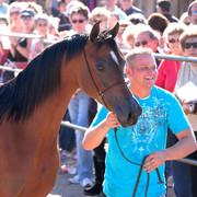 Terry Holmes Arabians