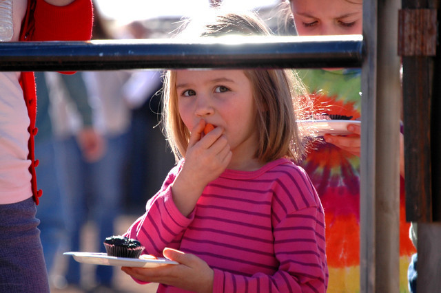 Terry Holmes Arabians