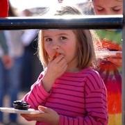 Terry Holmes Arabians