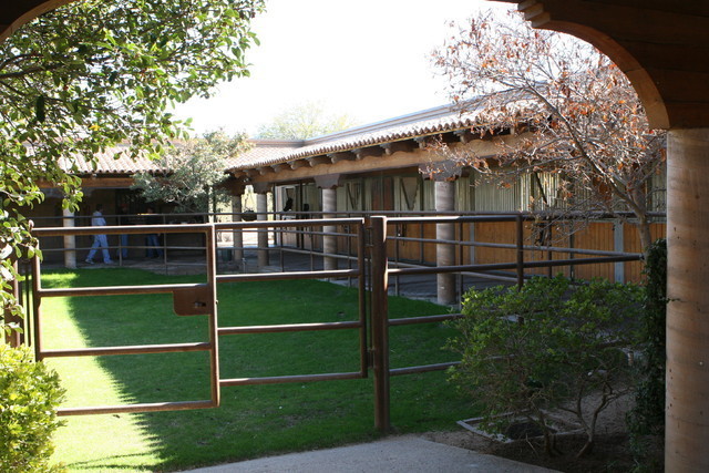 Terry Holmes Arabians