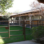 Terry Holmes Arabians