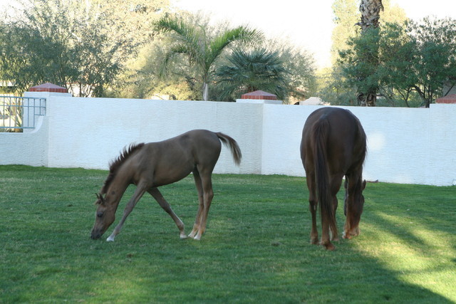 Midwest Training Centre