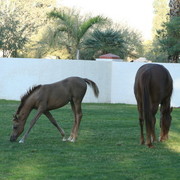 Midwest Training Centre