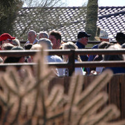 Terry Holmes Arabians