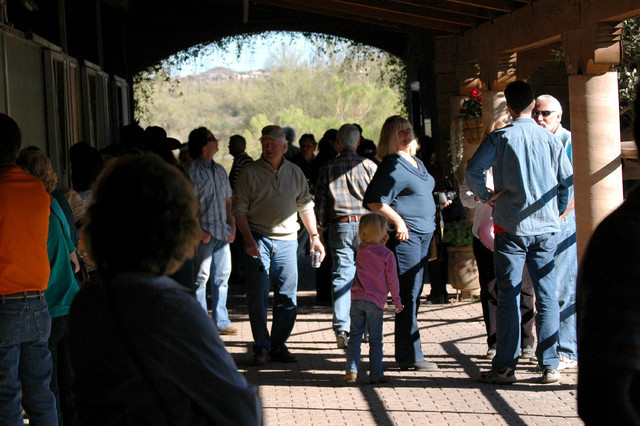 Terry Holmes Arabians