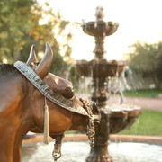 Midwest Training Centre