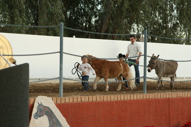 Midwest Training Centre