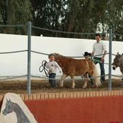 Midwest Training Centre