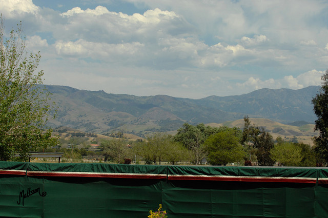 Santa Ynez Valley Arabian Breeders Celebration