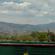 Santa Ynez Valley Arabian Breeders Celebration