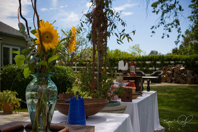 Santa Ynez Valley Arabian Breeders Celebration