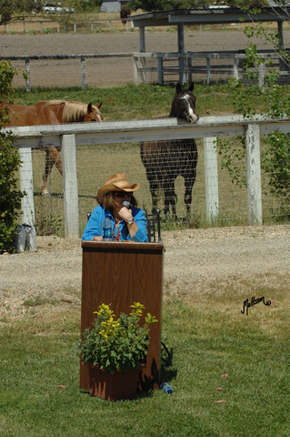 Santa Ynez Valley Arabian Breeders Celebration