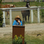 Santa Ynez Valley Arabian Breeders Celebration