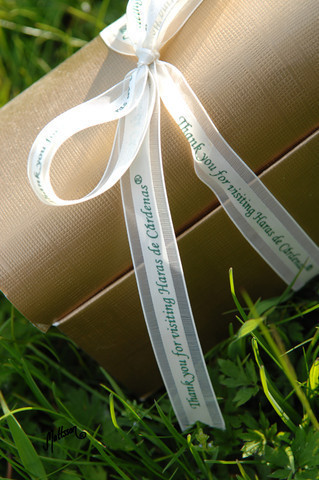 Santa Ynez Valley Arabian Breeders Celebration