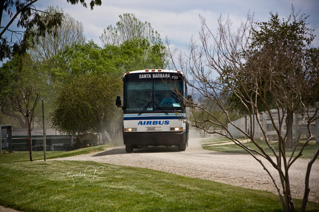 Santa Ynez Valley Arabian Breeders Celebration